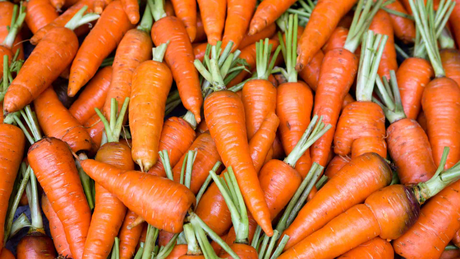 are carrots good for hair loss