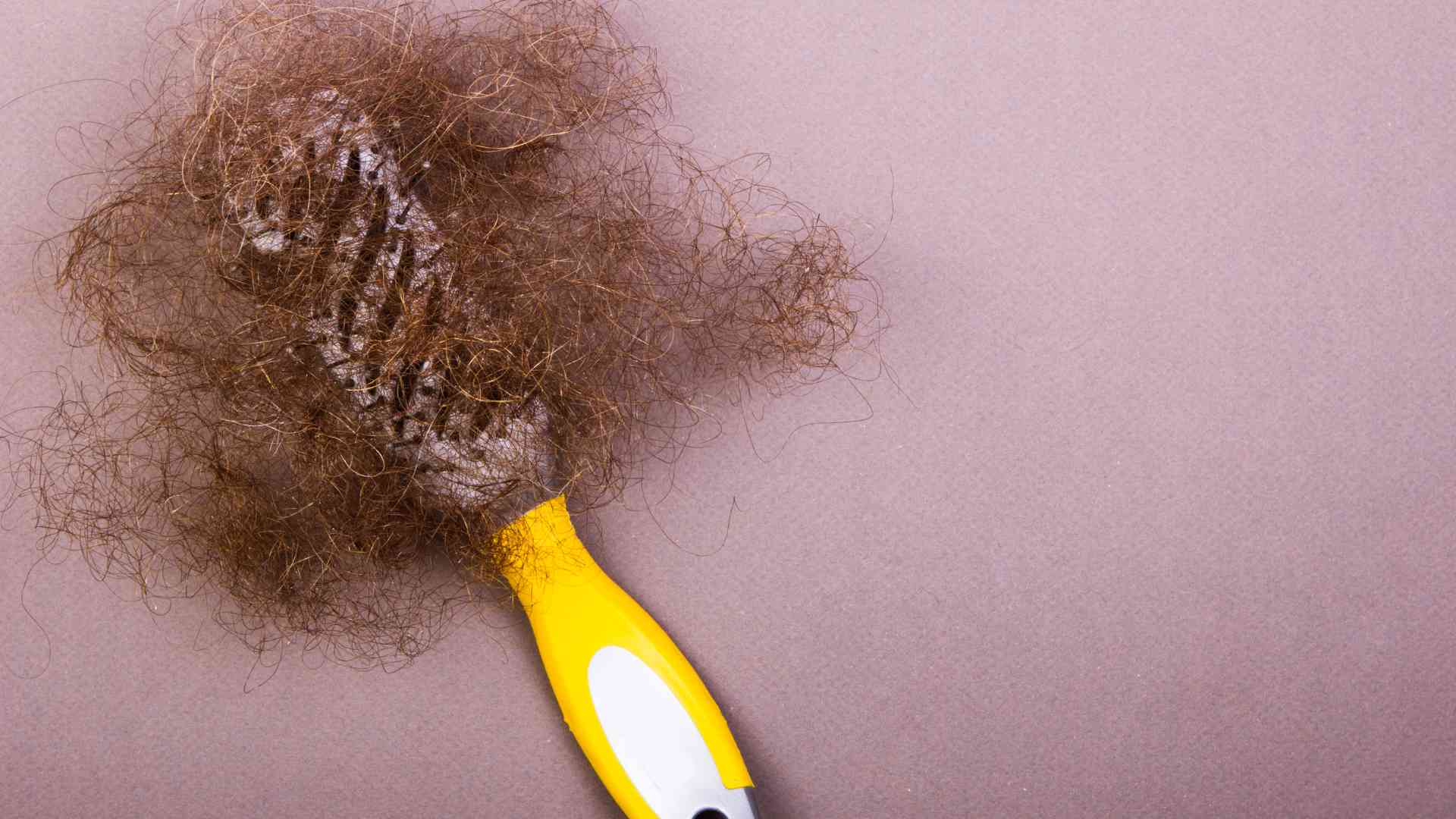 What role does gut health play in hair loss prevention, and how can it be improved