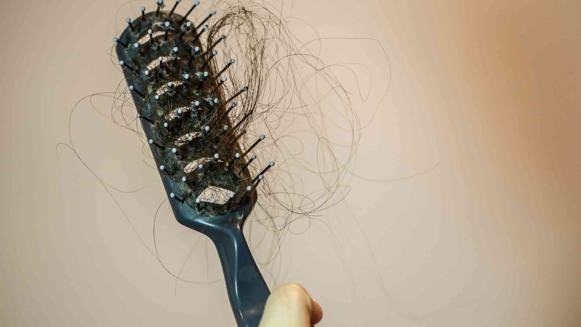 What are some common misconceptions about hair loss