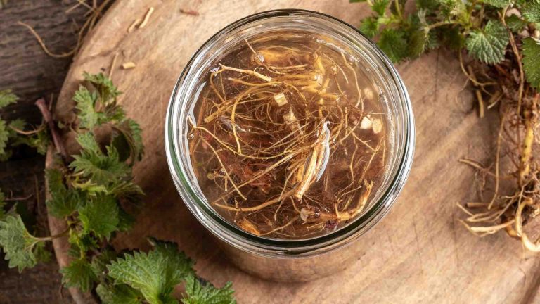 Nettle Root Natural Treatment for Hair Loss Female