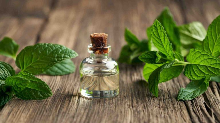 Peppermint Oil Natural Treatment for Hair Loss Female