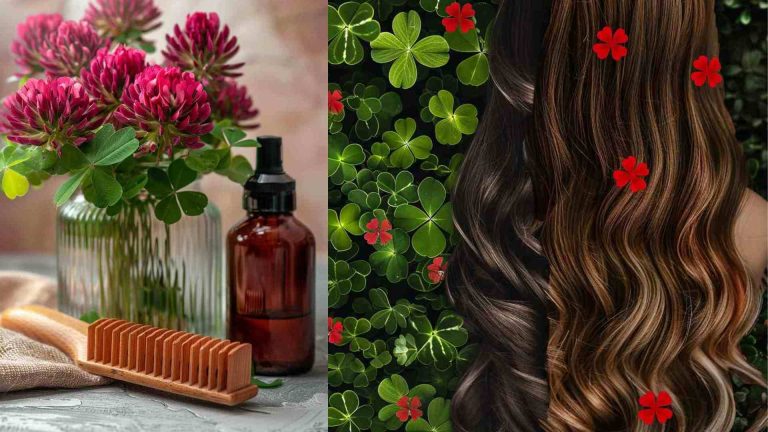 Red Clover Natural Treatment for Hair Loss Female