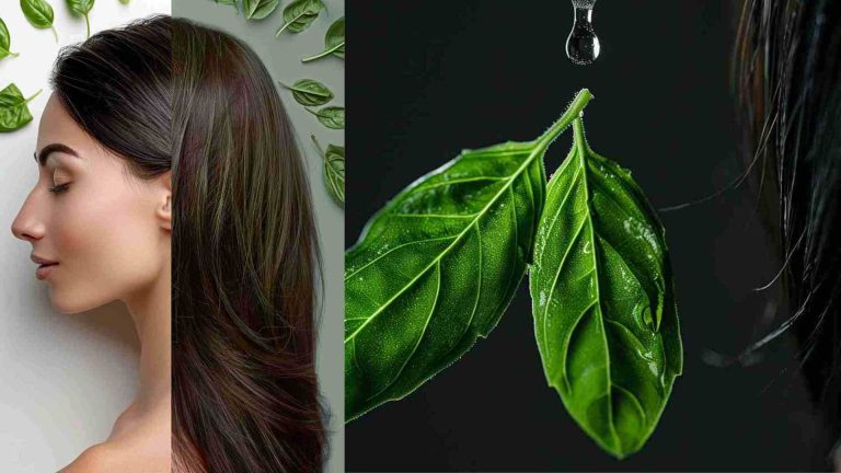 Basil Natural Treatment for Hair Loss Female