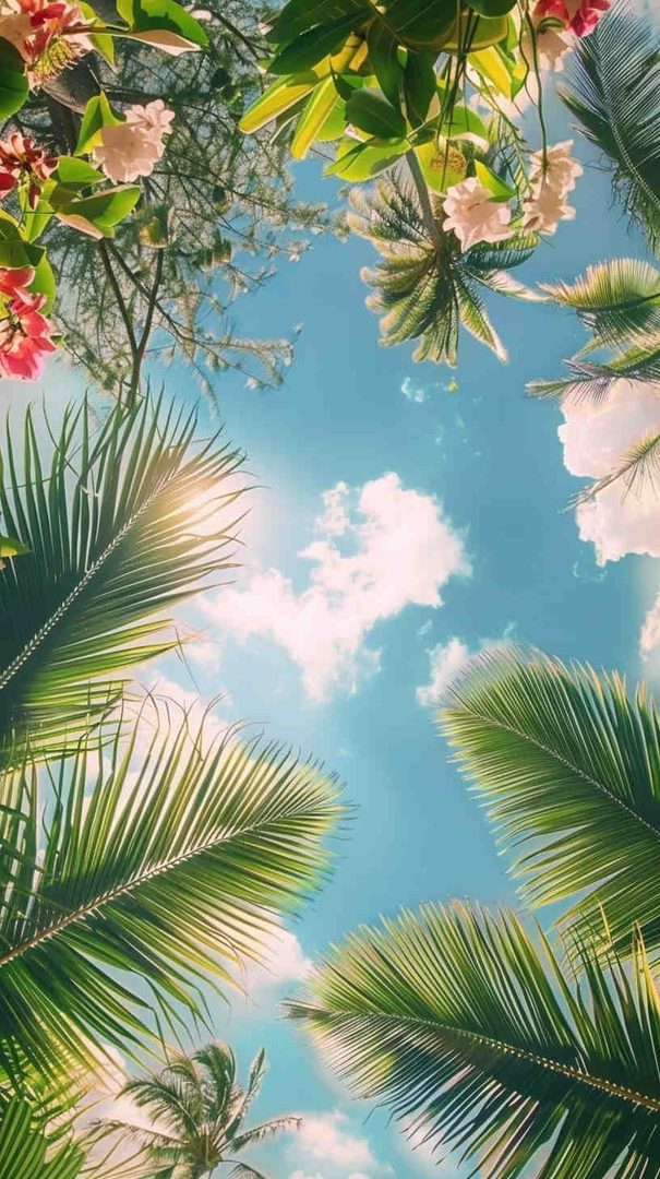 Top Phone Wallpaper Ideas + Ceiling Wallpaper Tips
