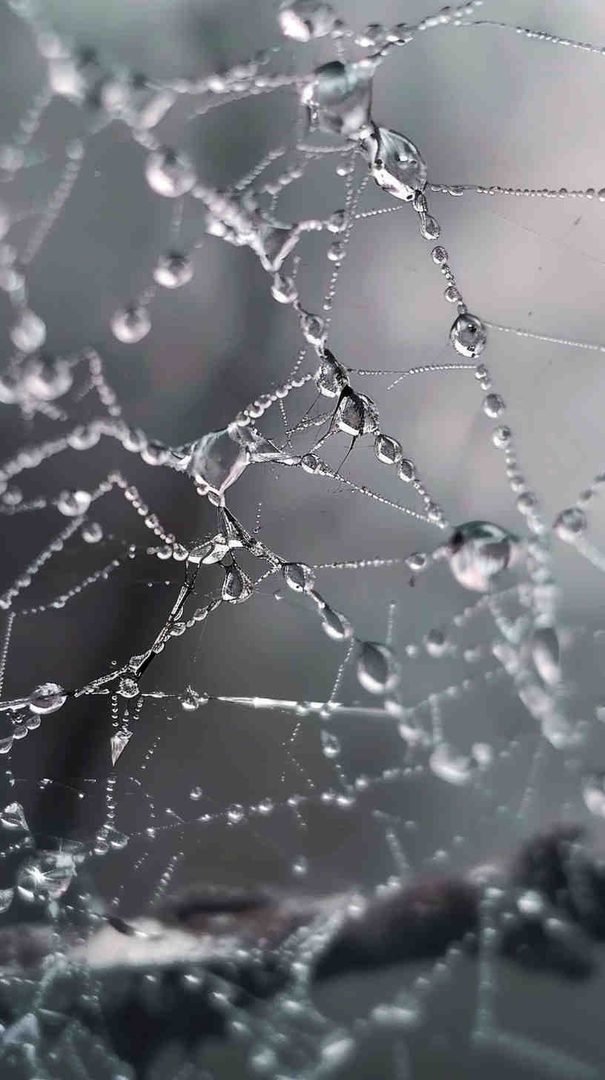 50 Realistic Cracked Screen Wallpapers (Free HD) 50 Realistic Cracked Screen Wallpapers (Free HD)