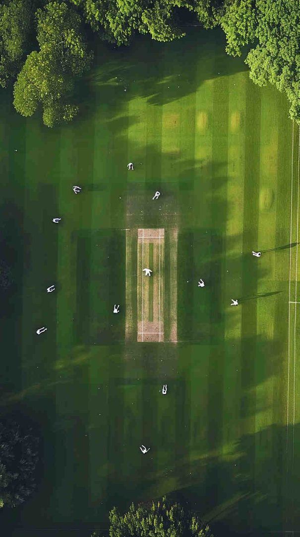 Cricket Wallpapers 4K - Best HD Backgrounds Free