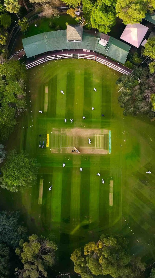 Cricket Wallpapers 4K - Best HD Backgrounds Free