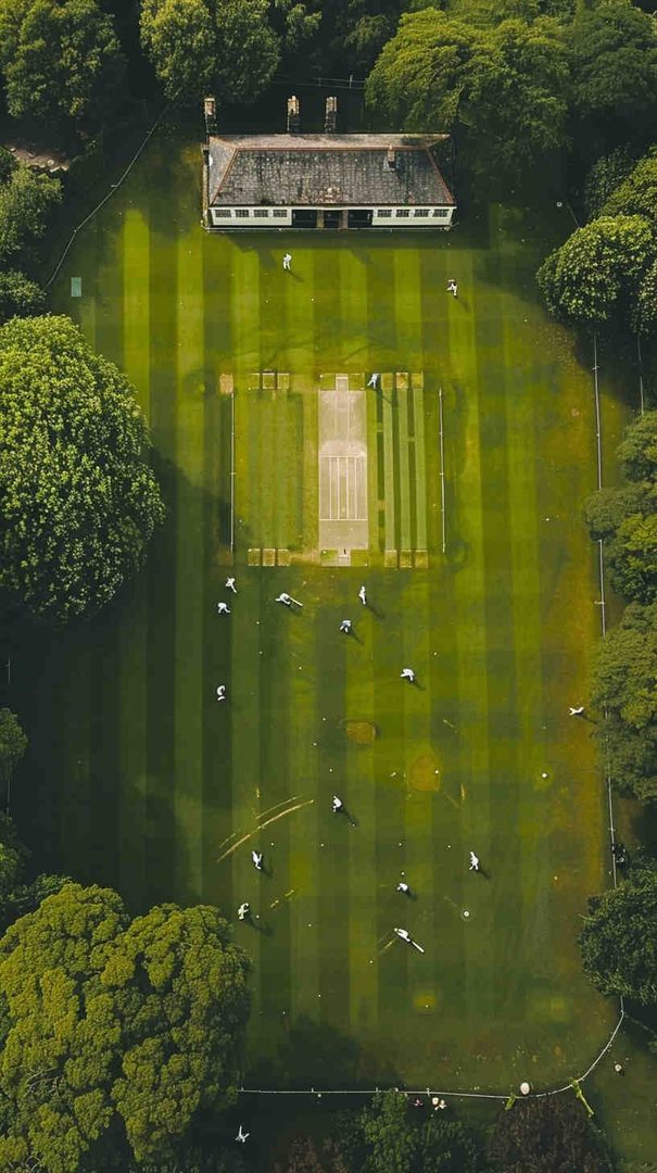 Cricket Wallpapers 4K - Best HD Backgrounds Free
