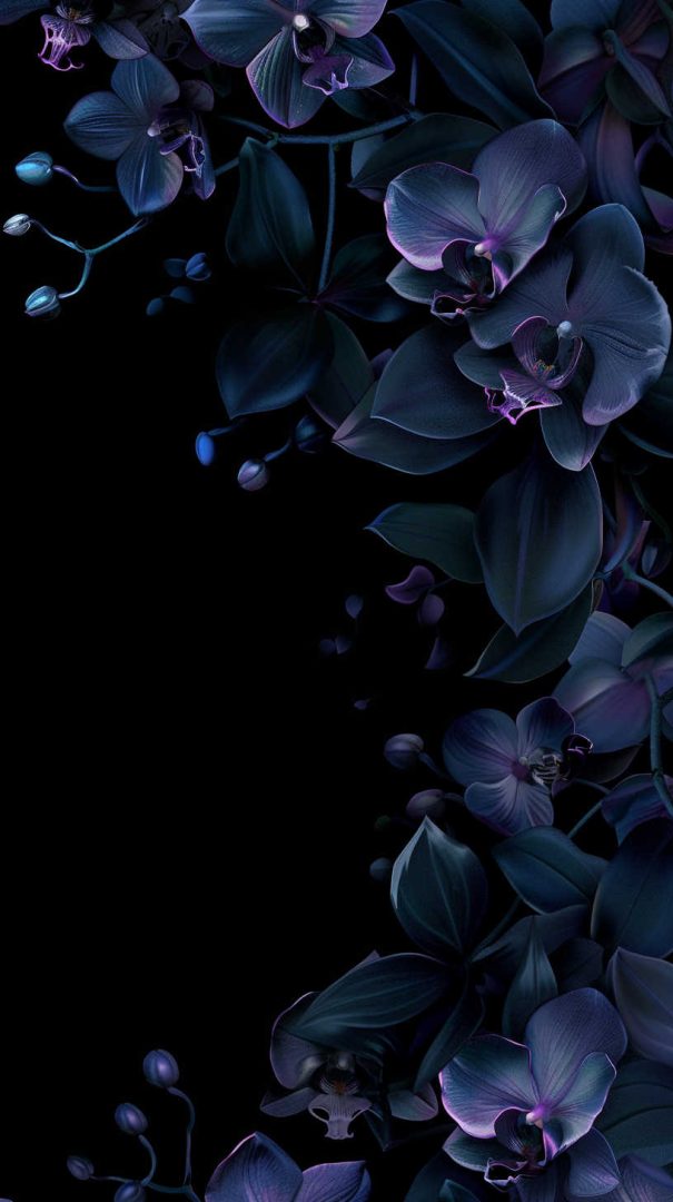 Beautiful Flower Wallpapers for Your Phone (Free HD)