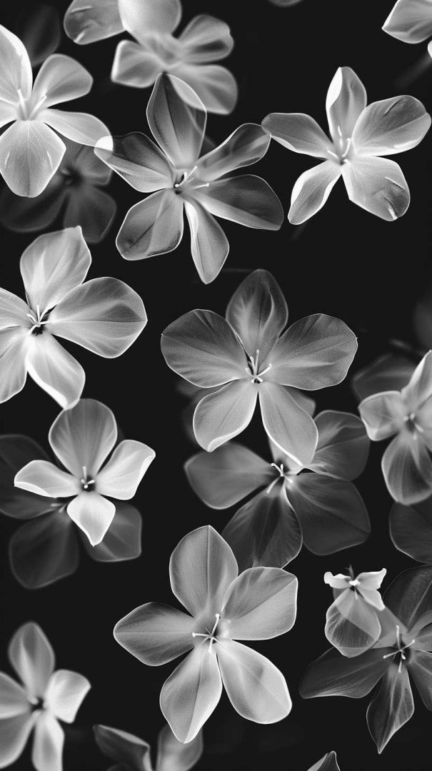 Beautiful Flower Wallpapers for Your Phone (Free HD)