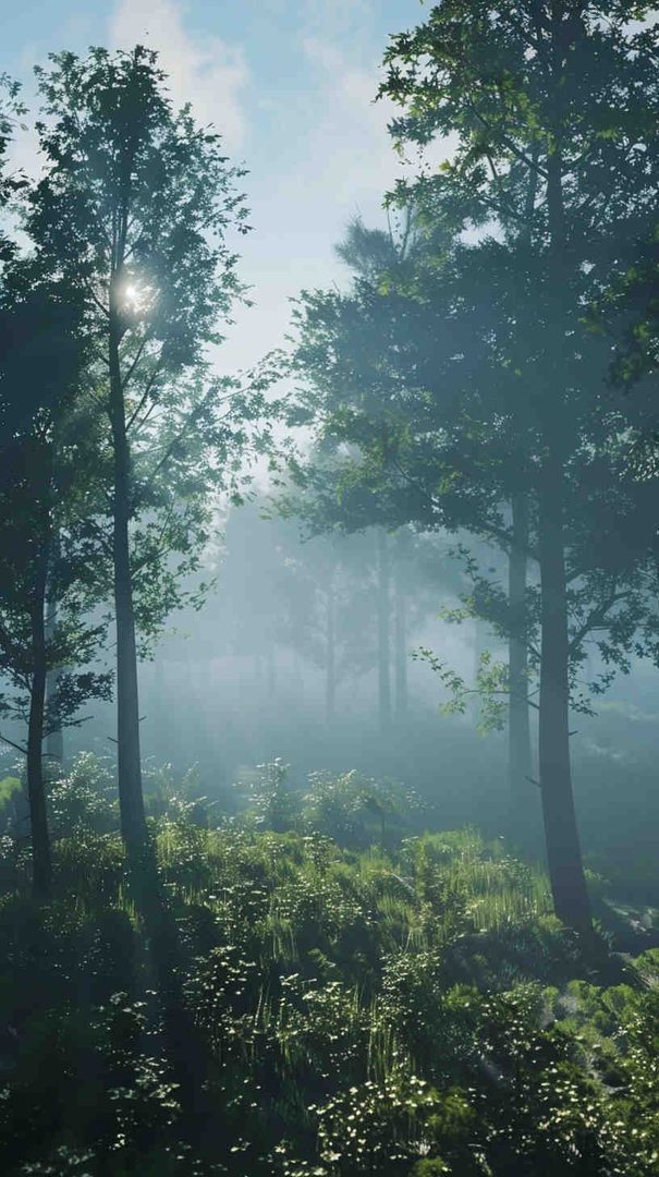 Forest Phone Wallpapers: Stunning Free HD Backgrounds