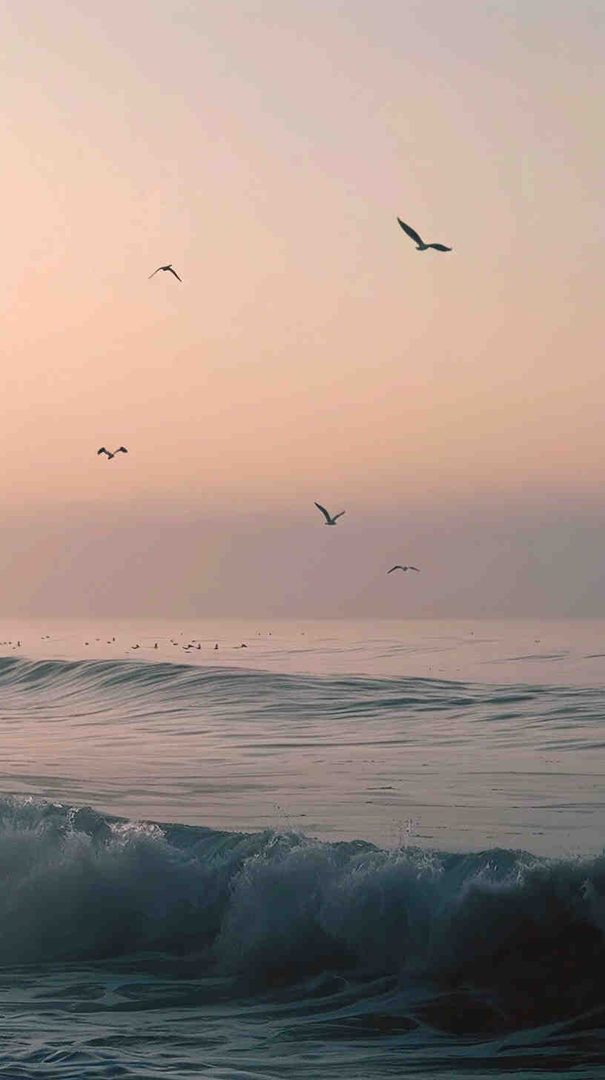 50+ Grey Aesthetic Wallpapers for iPhone & Android