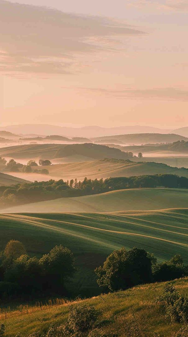 100+ Free Phone Wallpapers: Download HD Backgrounds Now